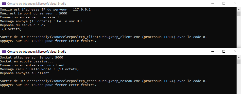 TCP CLIENT / SERVER